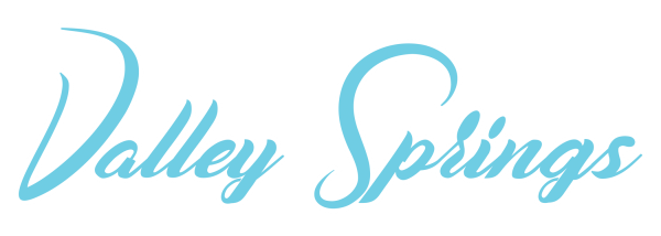 valleysprings_logotype